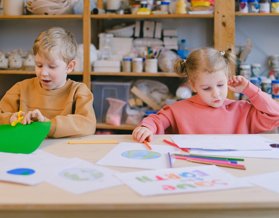 Anadokulu Danışmanlık Hizmetlerinin Önemi